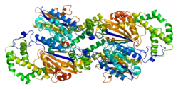 Prostataspezifische saure Phosphatase