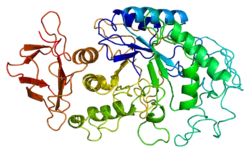 Pankreas-Amylase