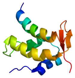CTD-Phosphatase
