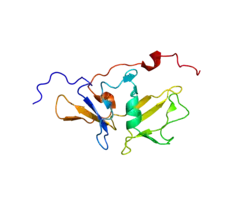 MDA5