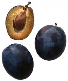 Pflaume