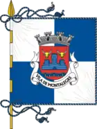 Flagge von Montalegre