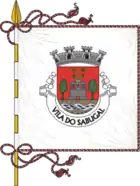 Flagge des Concelhos Sabugal