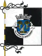 Flagge des Concelhos Vila Nova da Barquinha