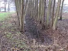 Ursprung