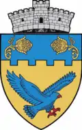 Wappen von Saschiz