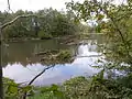 Blick von Rabeninsel auf die Wilde Saale