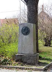 Albertstein