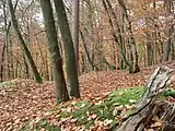 Der Burgstall der Vergessenen Burg