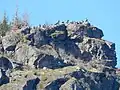 Massenansturm auf die Rattlesnake Ledge am Wochenende