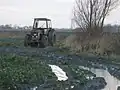 Sie liegt im ländlich geprägten Marschland