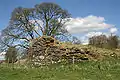 Ruine von Mangerton Castle
