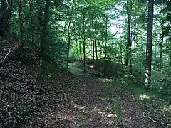 Reste der Vorburg (Juli&nbsp;2015)
