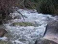 Der Algars bei Arens de Lledó
