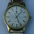 Roamer Anfibio