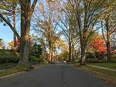 Die Rodman Street verläuft in ost-westlicher Richtung mitten durch Spring&nbsp;Valley
