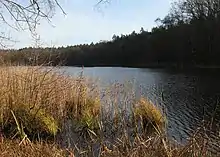 Rohrteich …