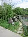 Höckerlinie GPH Roost