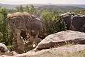 Im Hintergrund Burg Trosky