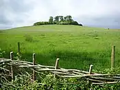 Rundhügel Wittenham Clumps
