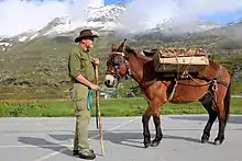 Säumer am Simplonpass 2020