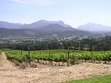 Das Tal von Franschhoek