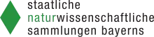 Logo der Staatlichen Naturwissenschaftlichen Sammlungen Bayerns