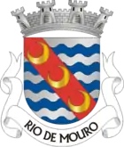 Wappen von Rio de Mouro