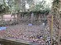 Die Natur verdrängt Menschenwerk