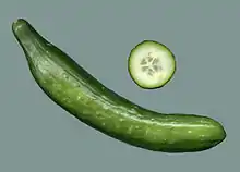 Gurke