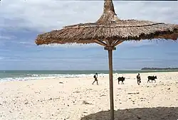 Strand bei Sambava