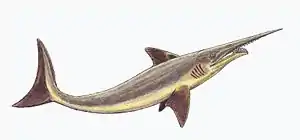 Sarcoprion edax