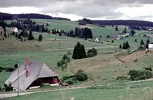 Quellgebiet der Gutach in den Hochmulden bei Schönwald