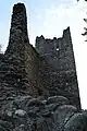 Schildmauer mit Bergfried der Ruine Alt-Ramschwag