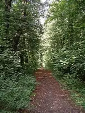 Schliestedter Schlosspark