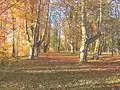 Der Schlosspark Scheer mit seinem uralten Baumbestand