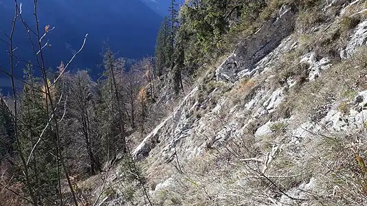 Anstieg über die Südseite zur Schlösselschneid. Im Vordergrund steil zum Lödenboden abfallender Oberer Wettersteinkalk.