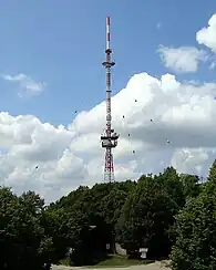Bild des Objektes