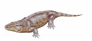 Seymouria