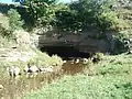 Sinks of Gandy Creek