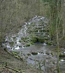 Lillach bei Weißenohe, Bayern – im Fließgewässer