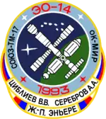 Emblem der Mission