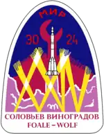 Emblem der Mission