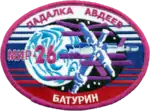 Emblem der Mission