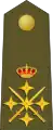 Generalkapitän des&nbsp;Heeres