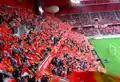 Fans bei der Eröffnung des Stadions