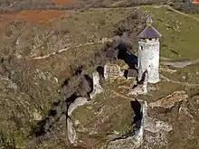 Burg Drežnik