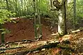 Naturdenkmal "Steinbuckel" von Süden (Oktober 2020)