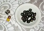 versch. Sterculia-Samen (Sterculia quadrifida, Sterculia foetida, Sterculia monosperma, Sterculia apetala u.&nbsp;a.)
