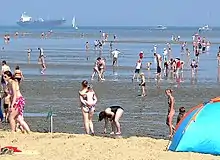 Strand bei Ebbe